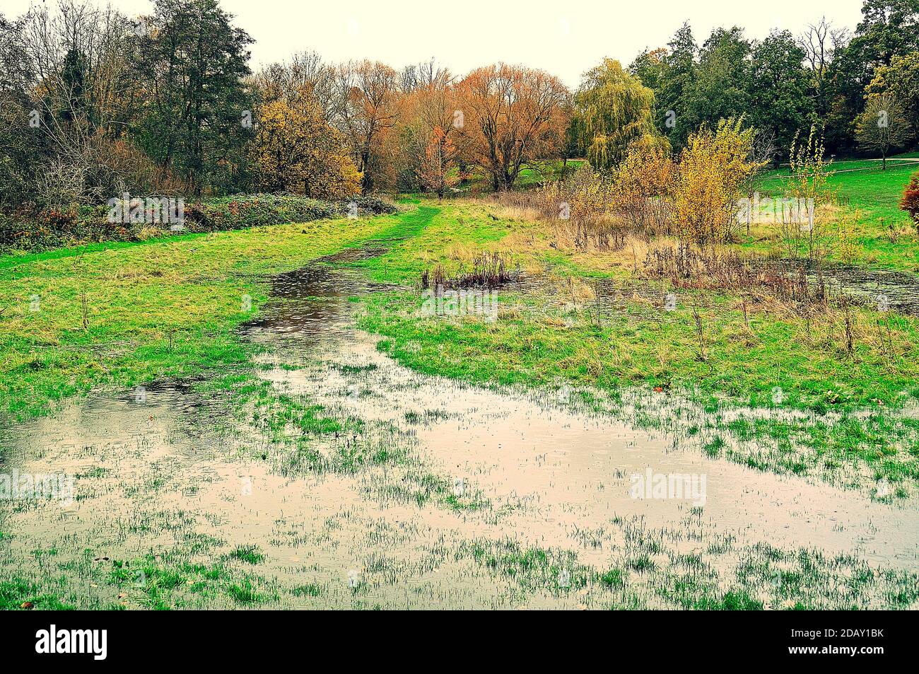 Herbstregen im überfluteten Park. Stockfoto