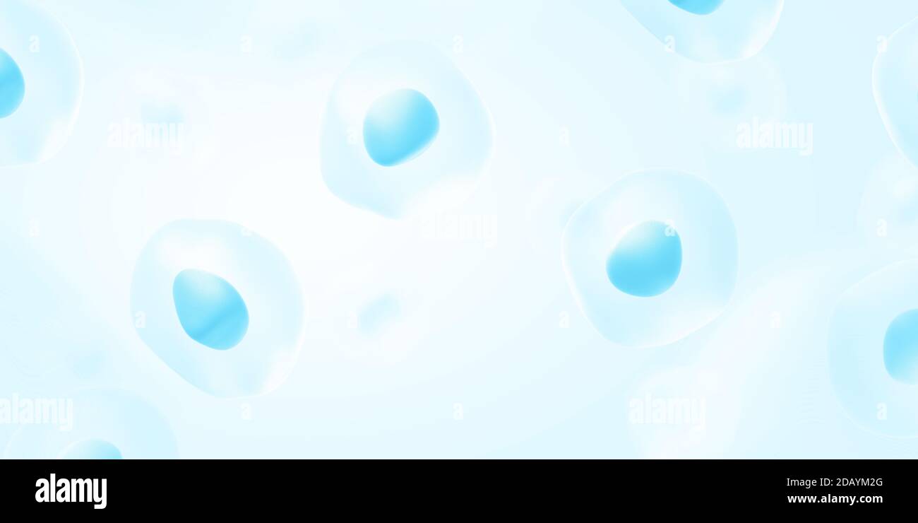 Menschliche Zellen auf hellblauem Hintergrund. Zellkern und Zytoplasma. 3d-Illustration. Stockfoto
