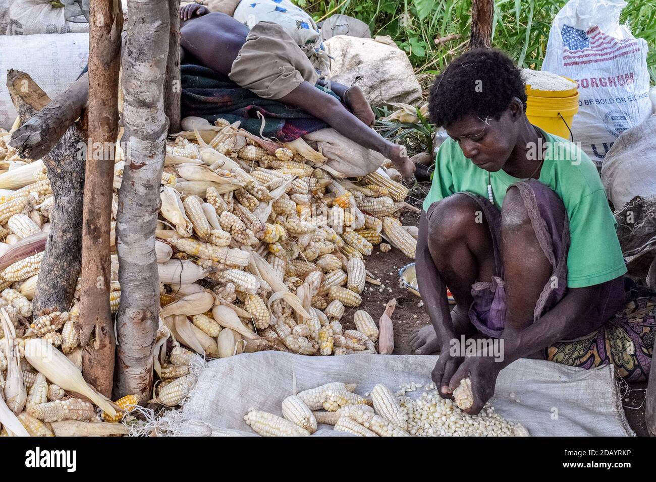 Regerai Mhoramasaga schaltet Maiskörner, um in einer typischen Doma-Gemeinschaftsküche für die Gemeinde Mealie-Mahlzeit zuzubereiten. Stockfoto