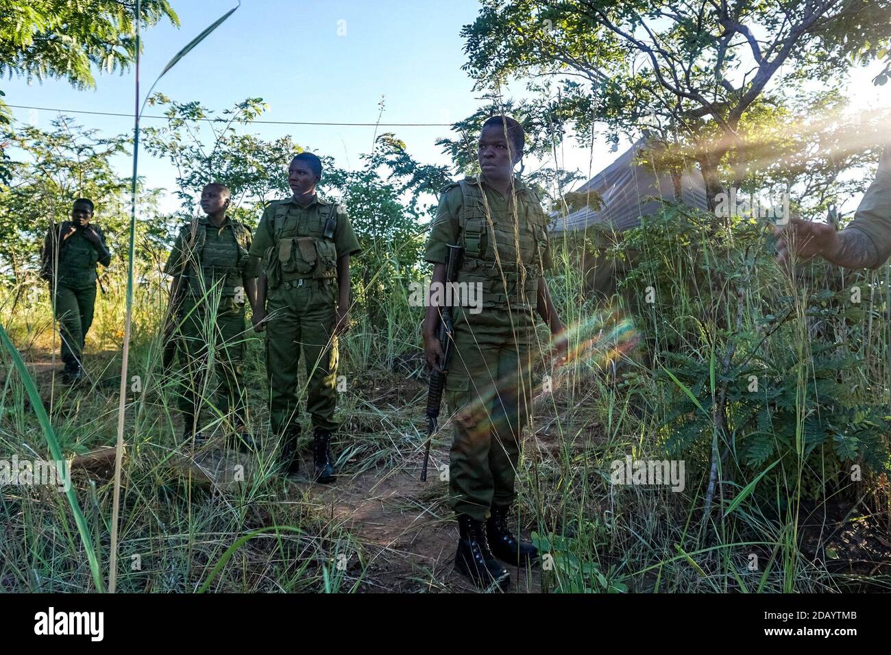 Die Akashinga-Ranger tragen Ghillie-Anzüge – Tarnanzüge, die dem Laub ähneln –, wenn sie auf bestimmten Arten von Patrouillen sind. Stockfoto