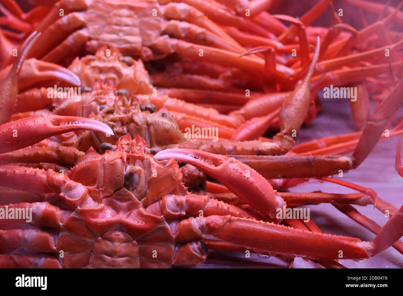Gedämpfte rote Krabben auf dem Meeresfrüchtemarkt unter freiem Himmel Stockfoto