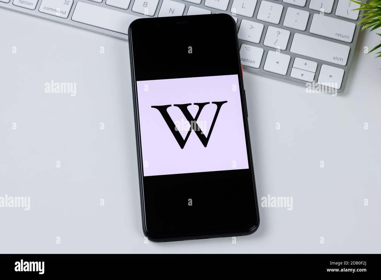 Wikipedia-App-Logo auf einem Smartphone-Bildschirm. Stockfoto