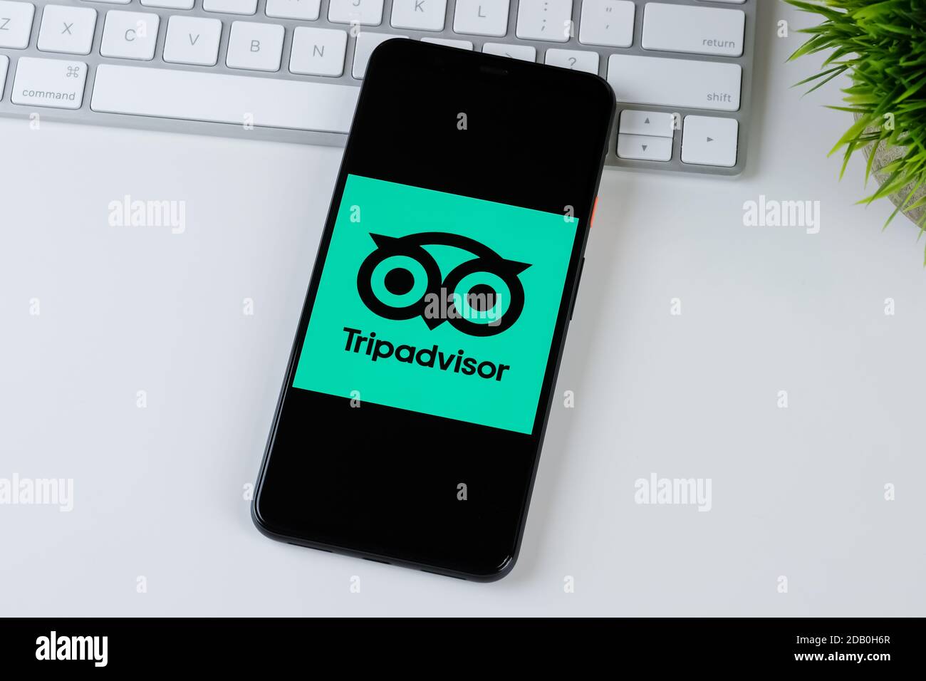 TripAdvisor App-Logo auf einem Smartphone-Bildschirm. Stockfoto