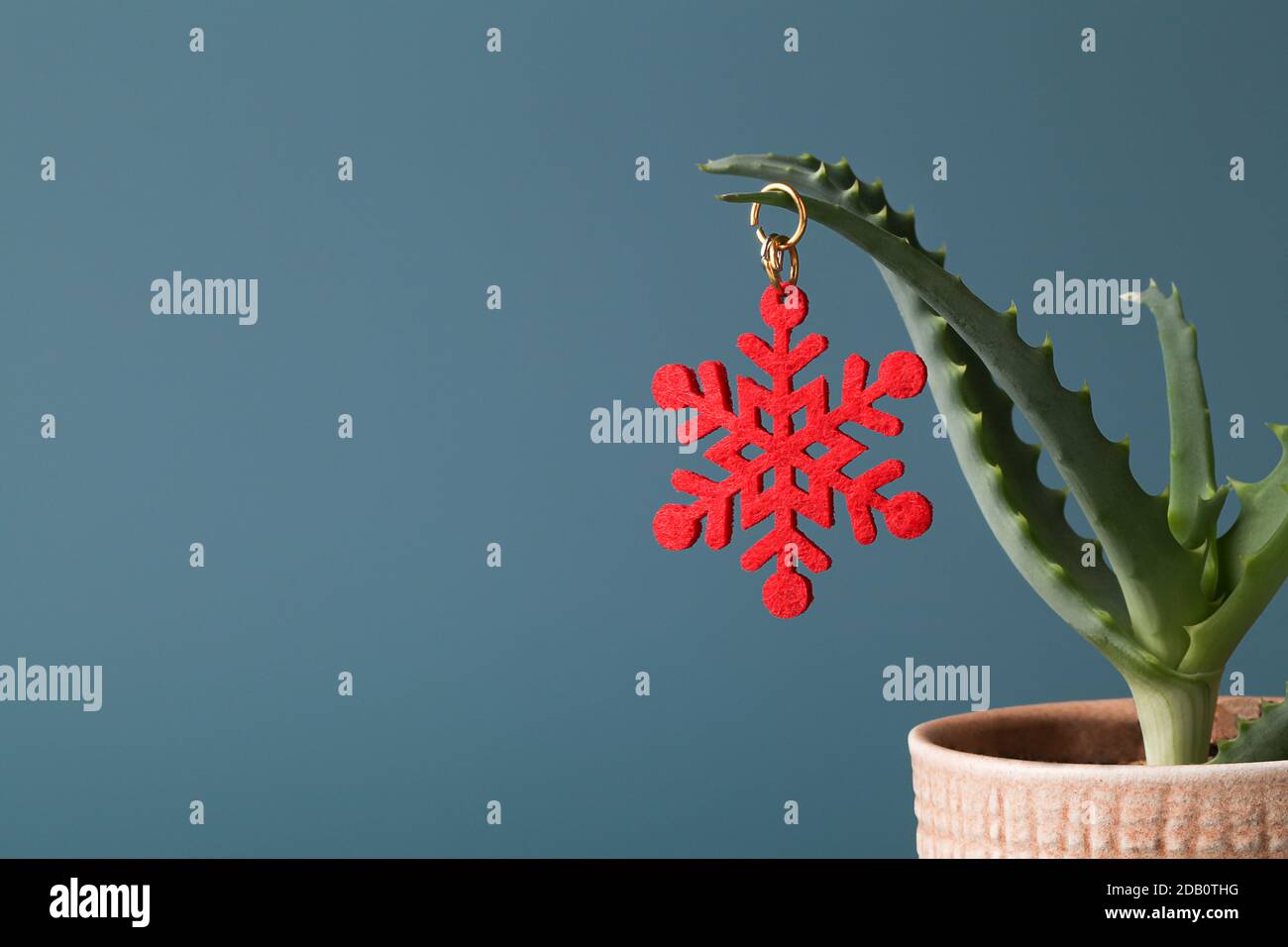 Weihnachtsdekoration in Form von roter Schneeflocke auf grüner Aloe Vera im Topf auf blauem Hintergrund. Neujahr Weihnachten minimal Karte Hintergrund. Platz kopieren Stockfoto
