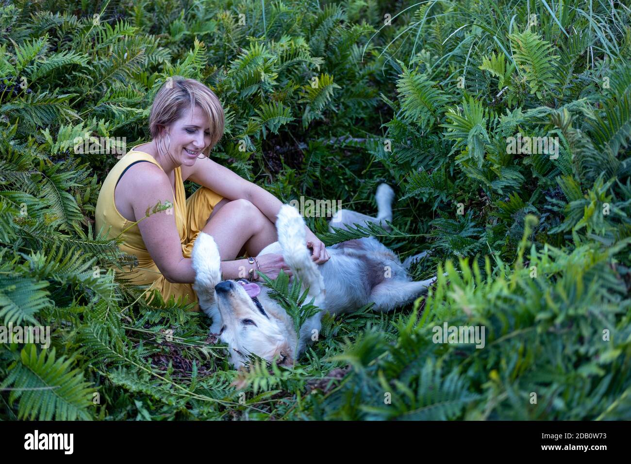 Blonde Dame liebt ihren Golden Retriever Hund im Wald Stockfoto