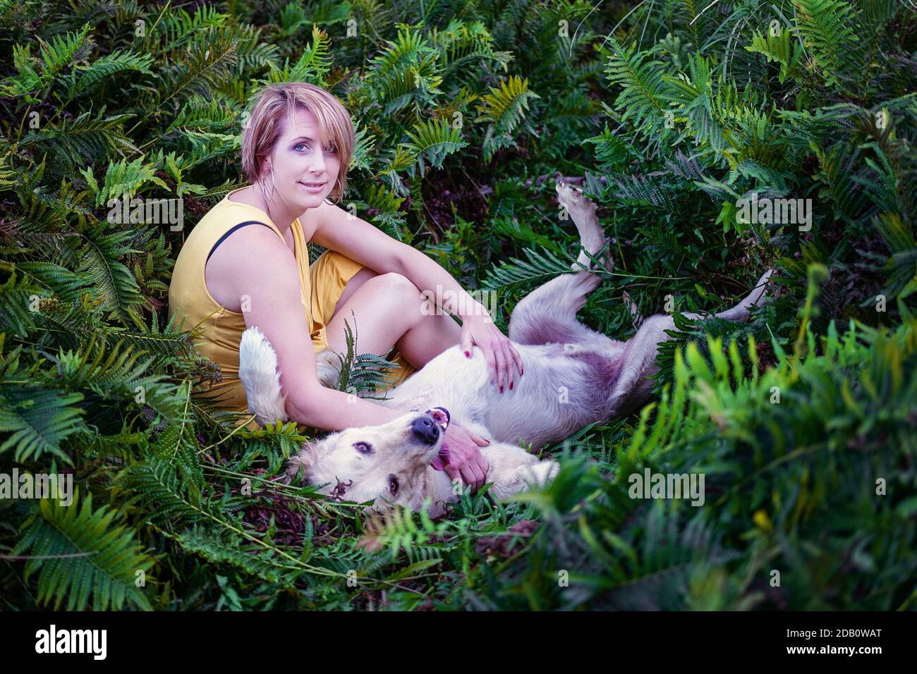 Blonde Dame liebt ihren Golden Retriever Hund im Wald Stockfoto