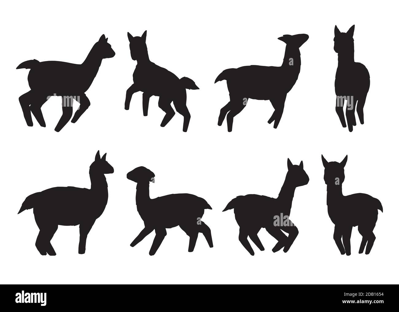 Lamas Silhouette Kollektion. Vektorgrafik. Isoliert auf weißem Hintergrund Stock Vektor