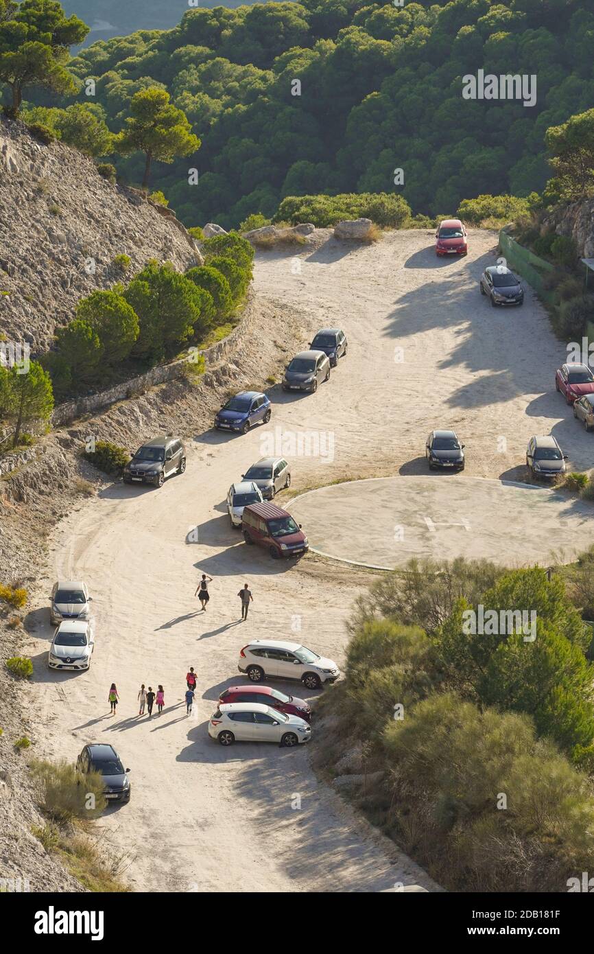 Ophrys x castroviejoi, Hybrid x Wild Orchid Ophrys scolopax Ophrys Speculum, Andalusien, Spanien Stockfoto