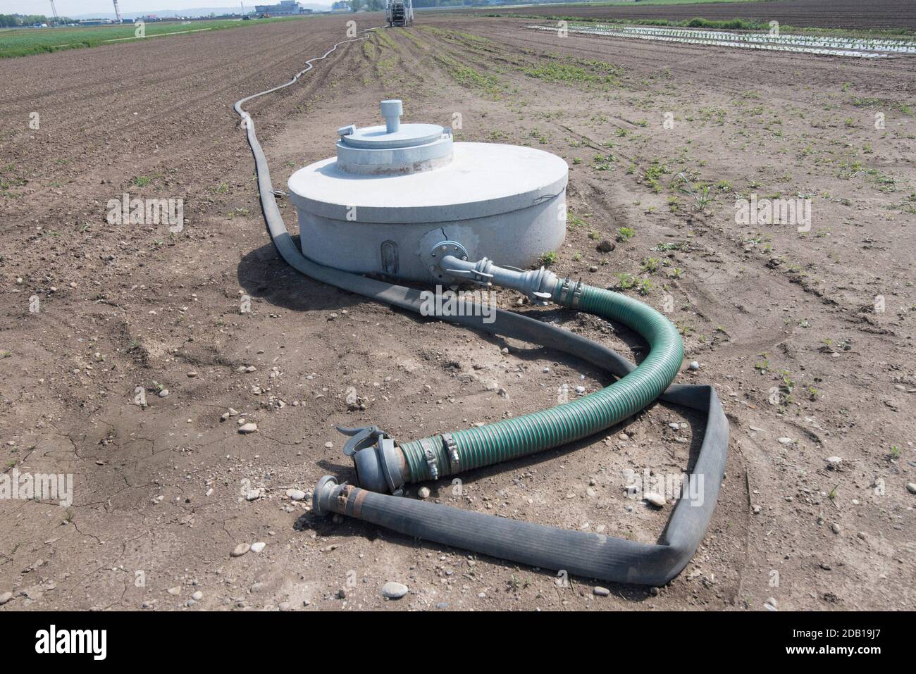 Bewässerung auf einem trockenen Feld, landwirtschaftliche Bewässerung durch Sprinkleranlage, Stockfoto
