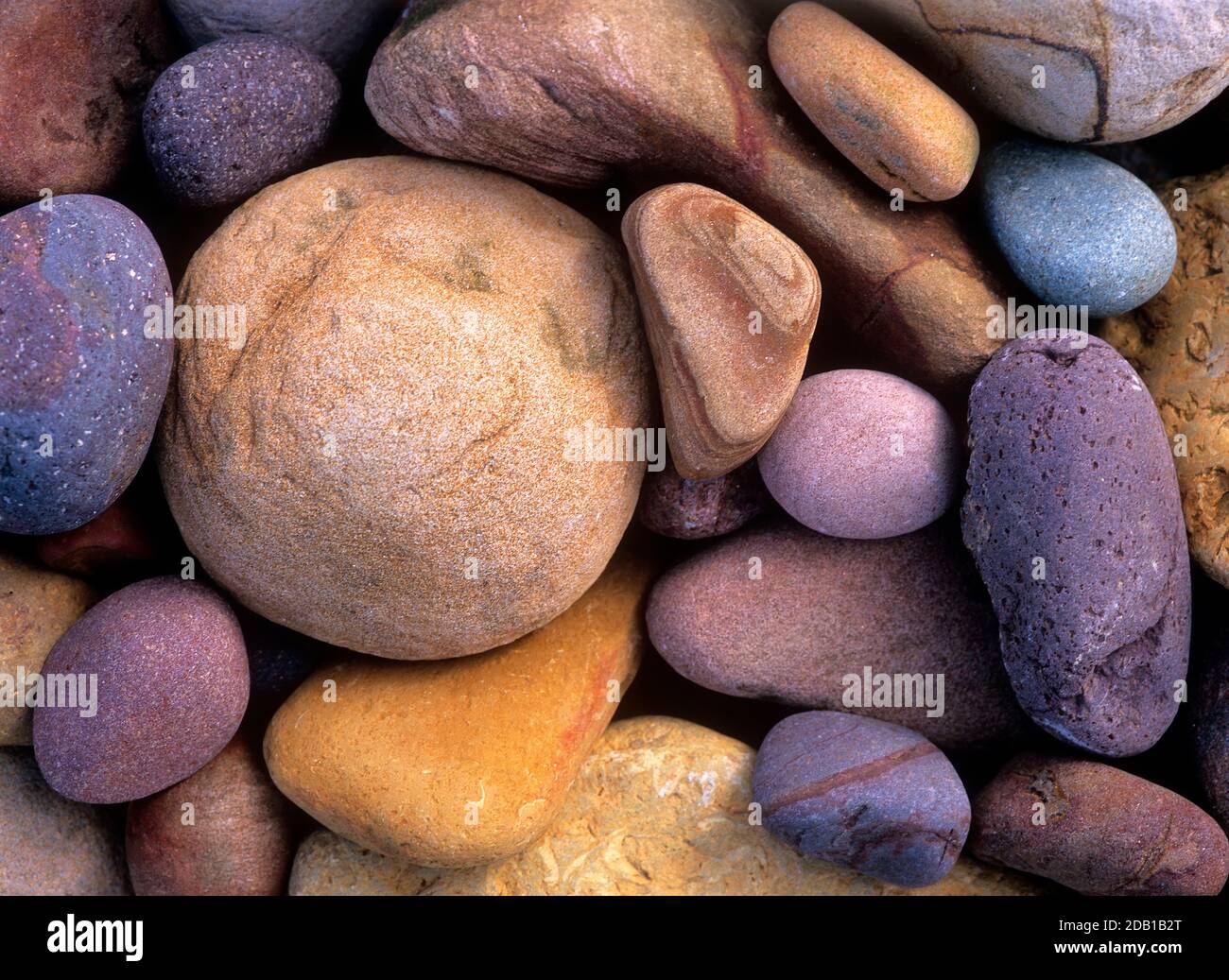 Bunte Kieselsteine, geglättet von den Wellen des Meeres, am Strand von Marloes, Cornwall, Großbritannien Stockfoto