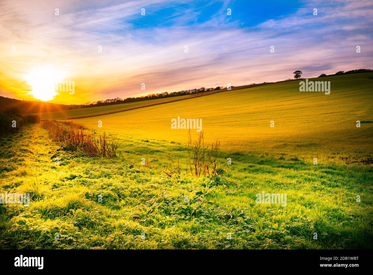 Ländliche Szene in West Sussex, England, Großbritannien mit untergehenden Sonne über Feldern im Winter. Stockfoto