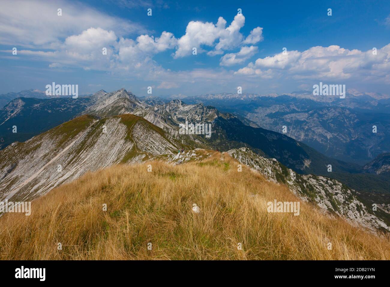 Weg auf dem Gipfel des Vogul. Nationalpark Triglav, Julische Alpen, Slowenien, Europa. Stockfoto