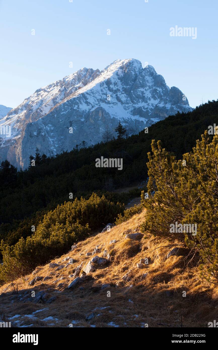 Berg Rjavina schneebedeckten Gipfel bei einem Winter Sonnenuntergang (Blick von Debela Peč). Nationalpark Triglav, Julische Alpen, Slowenien, Europa. Stockfoto