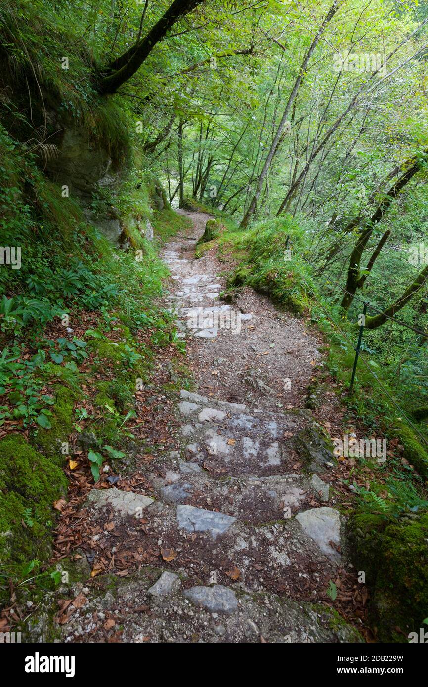 Weg in den Tolminer Schluchten (Tolminska korita). Tolmin, Nationalpark Triglav, Primorska, Slowenien, Europa. Stockfoto