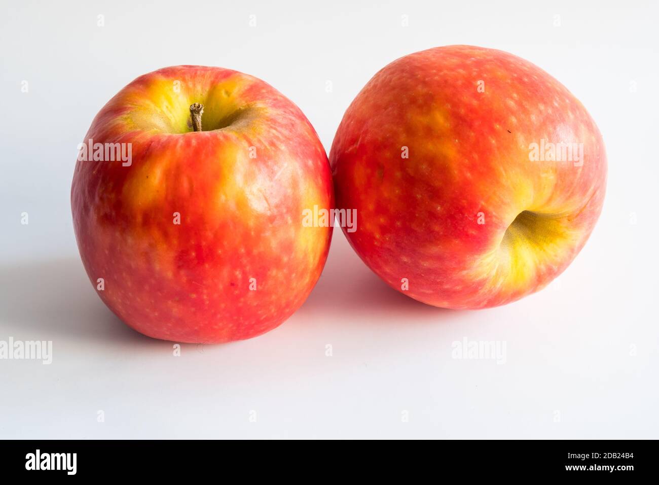 Stillleben mit zwei roten Äpfeln auf weißem Hintergrund. Stockfoto
