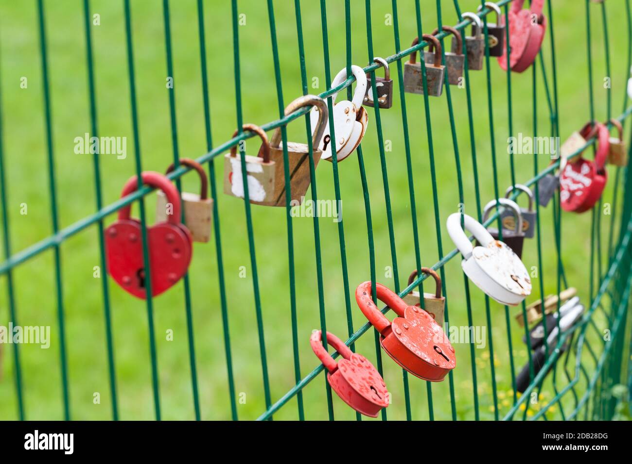 Bunte Liebesschlösser hängen im Sommer an einem Parkzaun Tag Stockfoto