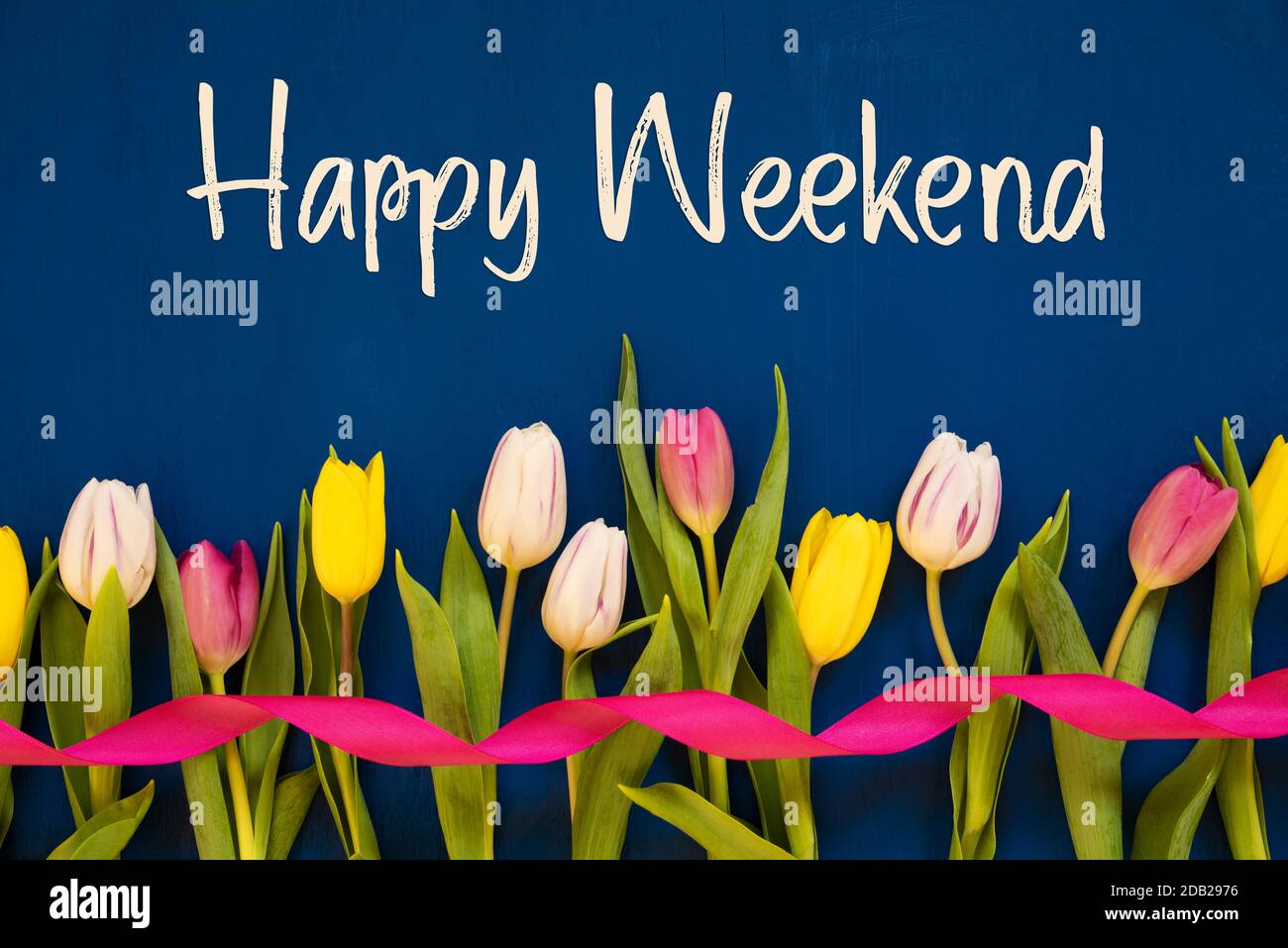 Englischsprachiger Text Happy Weekend. Weiße Und Pinke Tulpenfrühlingsblumen Mit Band. Blauer Holzhintergrund Stockfoto