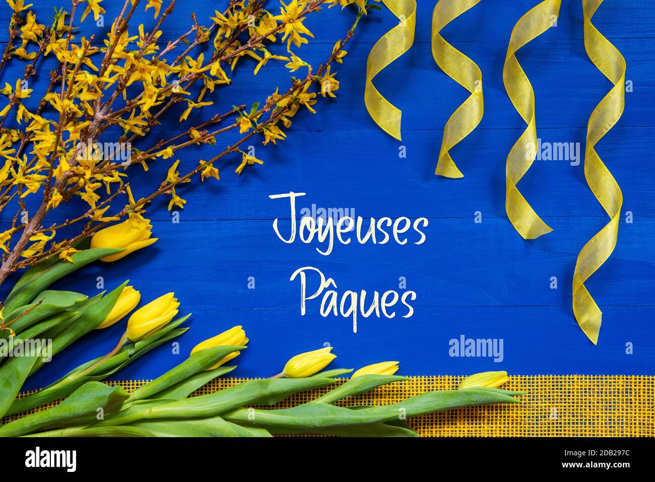 Französischer Text Joyeuses Paques Bedeutet Frohe Ostern. Gelbe Frühlingsblumen Wie Tulpe Und Äste. Festliche Dekoration Mit Band. Blauer Holzhintergrund Stockfoto