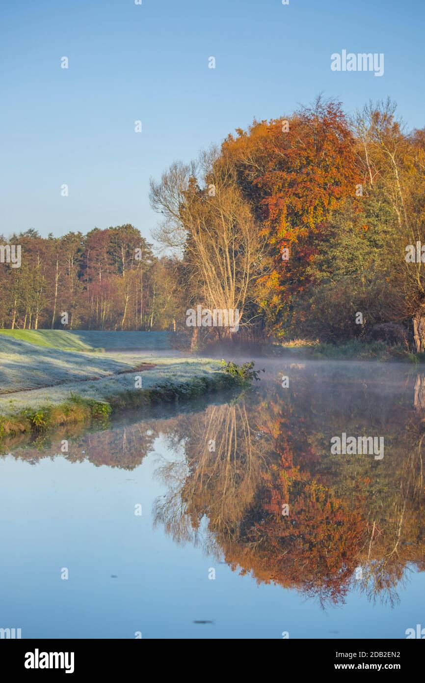 Herbstblauer Himmel und goldene Blätter auf Bäumen spiegeln sich in Ein Kanal mit Frost auf dem Gras und ein Licht Nebel über dem Wasser Stockfoto