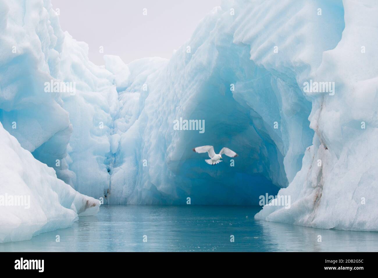 Eis des Monacobreen Gletschers, Svalbard, Norwegen Stockfoto