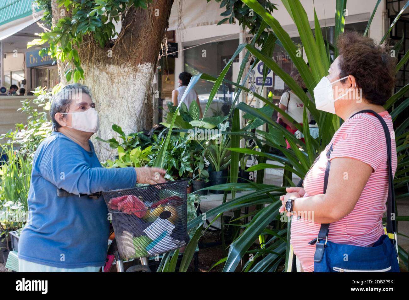 Mexikanische Frauen mit Gesichtsmasken, Covid Pandemie, Meruda, Yucatan, Mexiko Stockfoto