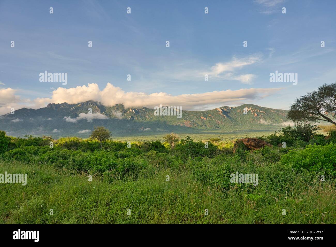 Landschaftsbilder aus dem Nationalpark Tsavo East Tsavo West und Amboseli Stockfoto