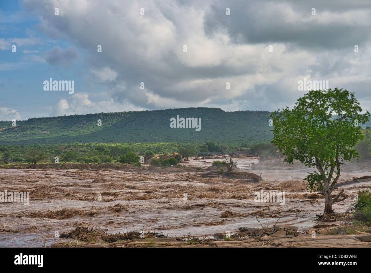 Landschaftsbilder aus dem Nationalpark Tsavo East Tsavo West und Amboseli Stockfoto