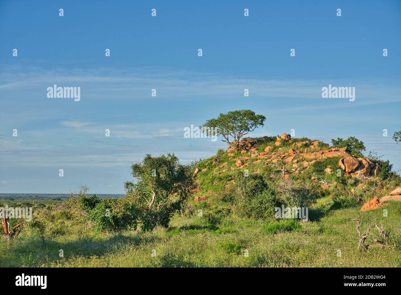 Landschaftsbilder aus dem Nationalpark Tsavo East Tsavo West und Amboseli Stockfoto