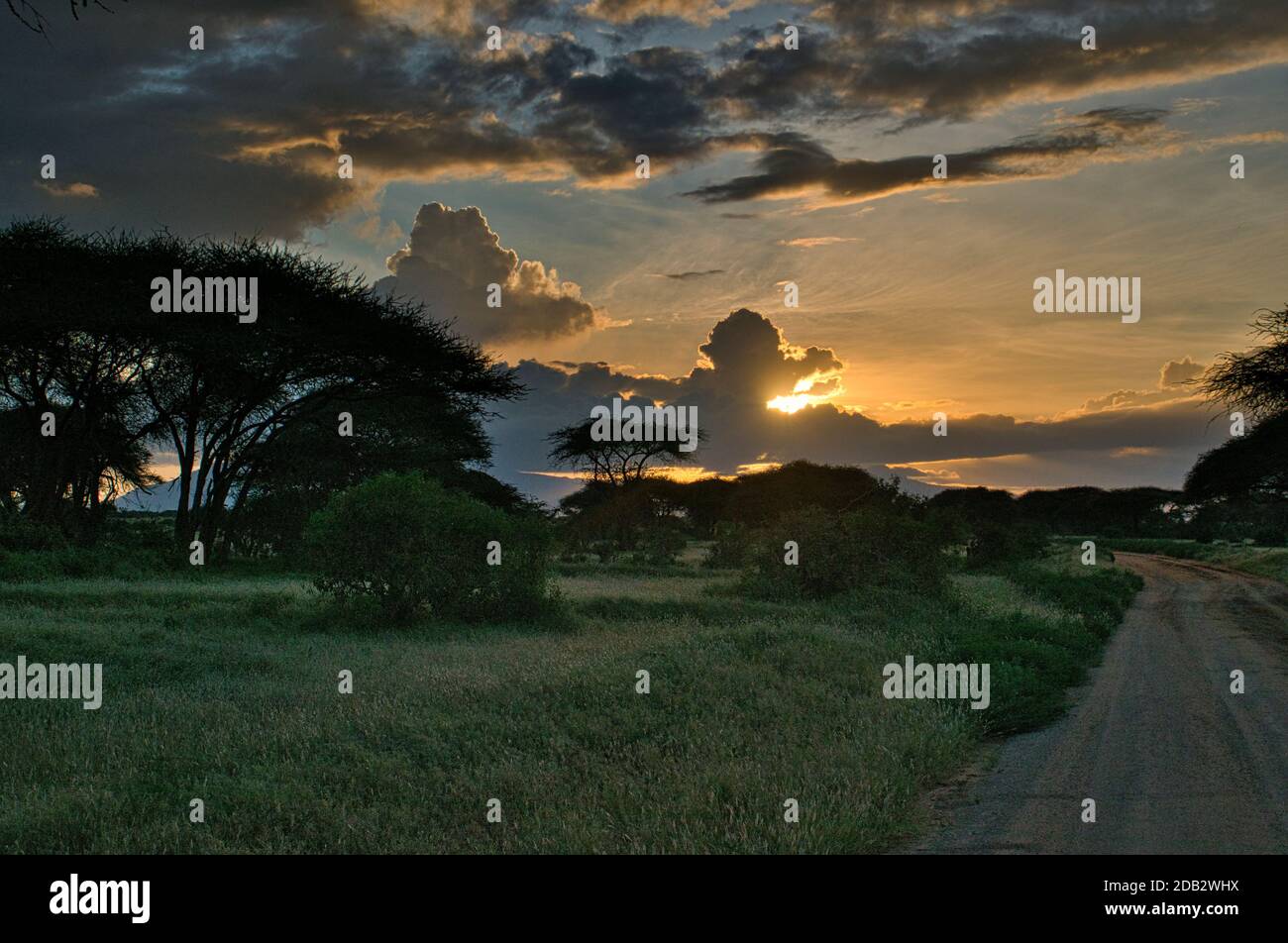 Landschaftsbilder aus dem Nationalpark Tsavo East Tsavo West und Amboseli Stockfoto