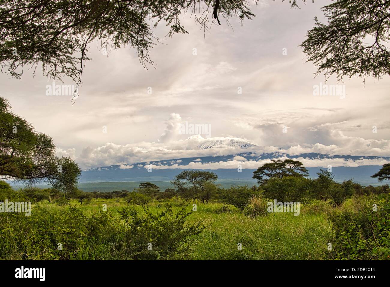 Landschaftsbilder aus dem Nationalpark Tsavo East Tsavo West und Amboseli Stockfoto