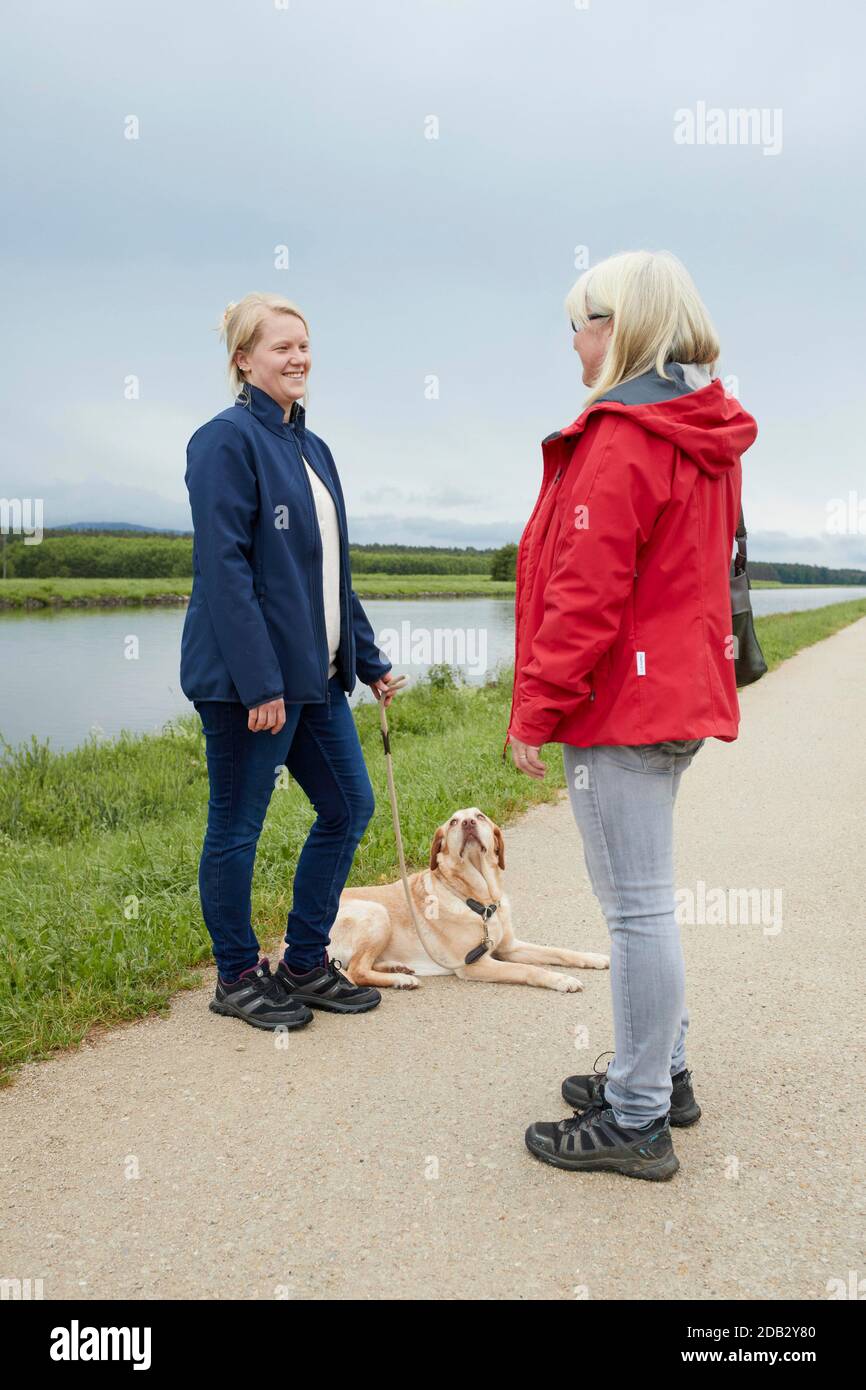 Frau mit Labrador Retriever chattet mit Passantin. Nicht für Tierführer bis 9/2022 Stockfoto