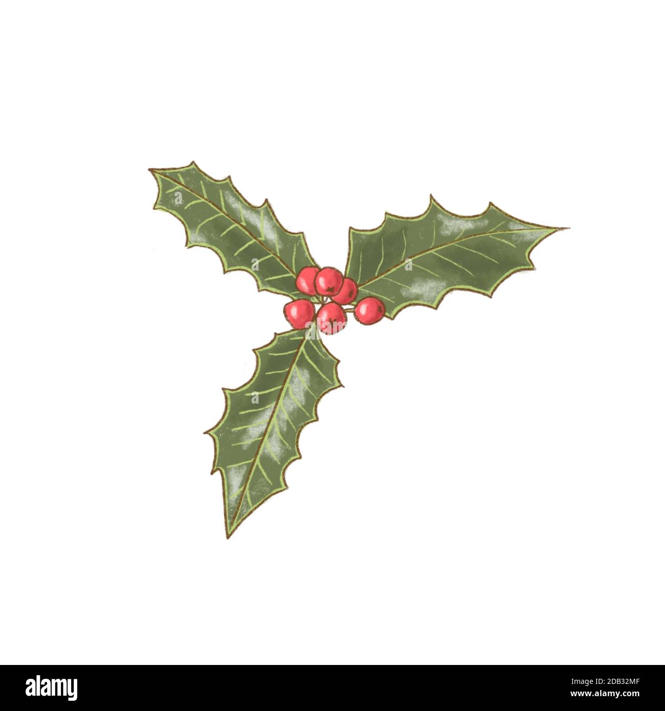 Holy-Beere-Ikone. winterbeere. Weihnachten Symbol Illustration Dekorative Pflanze. Stockfoto