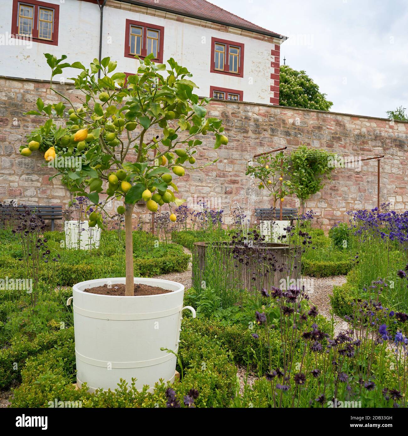 Garten vor Schloss Wilhelmsburg in Schmalkalden in Deutschland Stockfoto