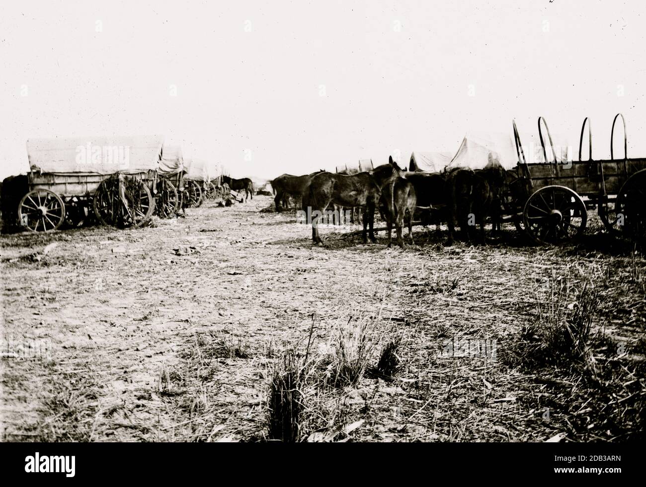 Savannah, Georgia (in der Nähe). Wagenzug in der Nähe von Savannah geparkt. Stockfoto