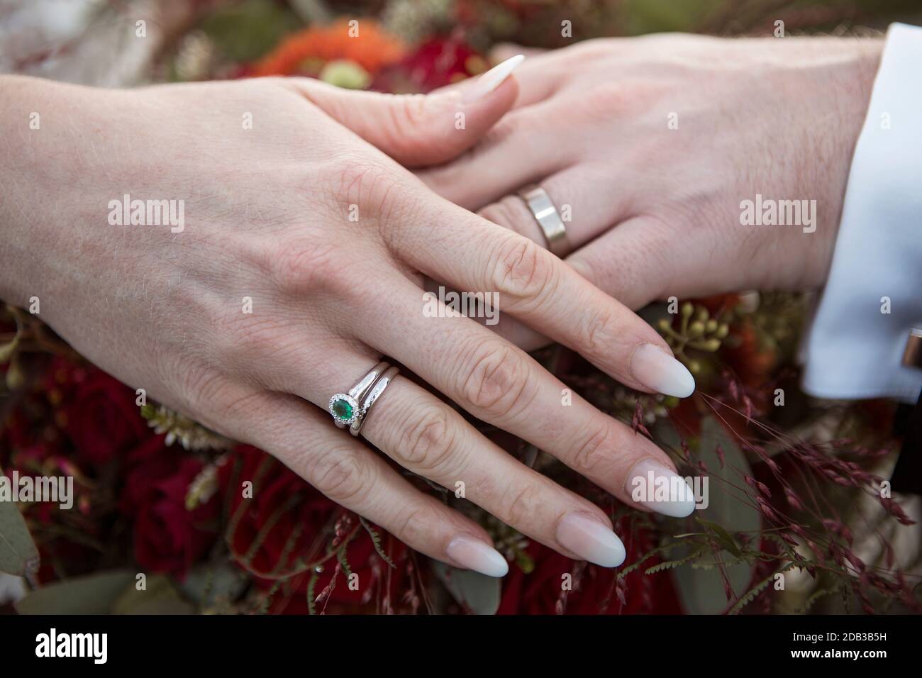 Hände von brautpaar mit Hochzeitsringen im Freien Stockfoto
