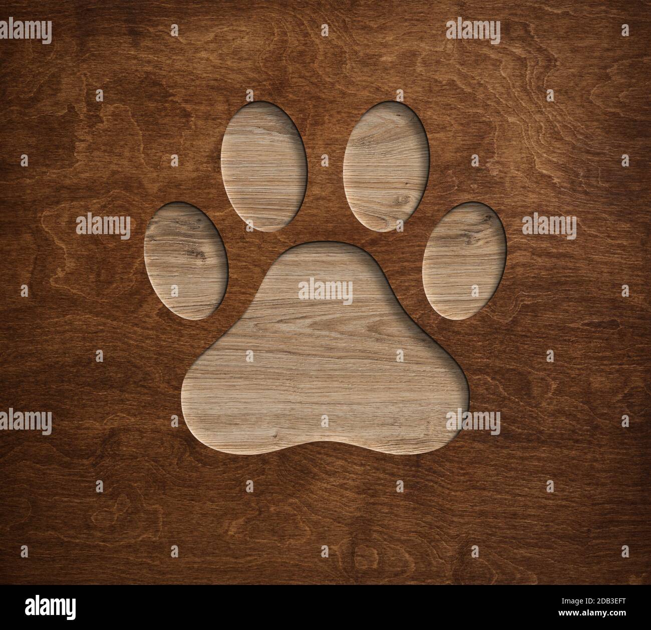 PET Pfote Druck von Hund Symbol in Holzbrett graviert 3d Holzstruktur mit Licht und Schatten Stockfoto