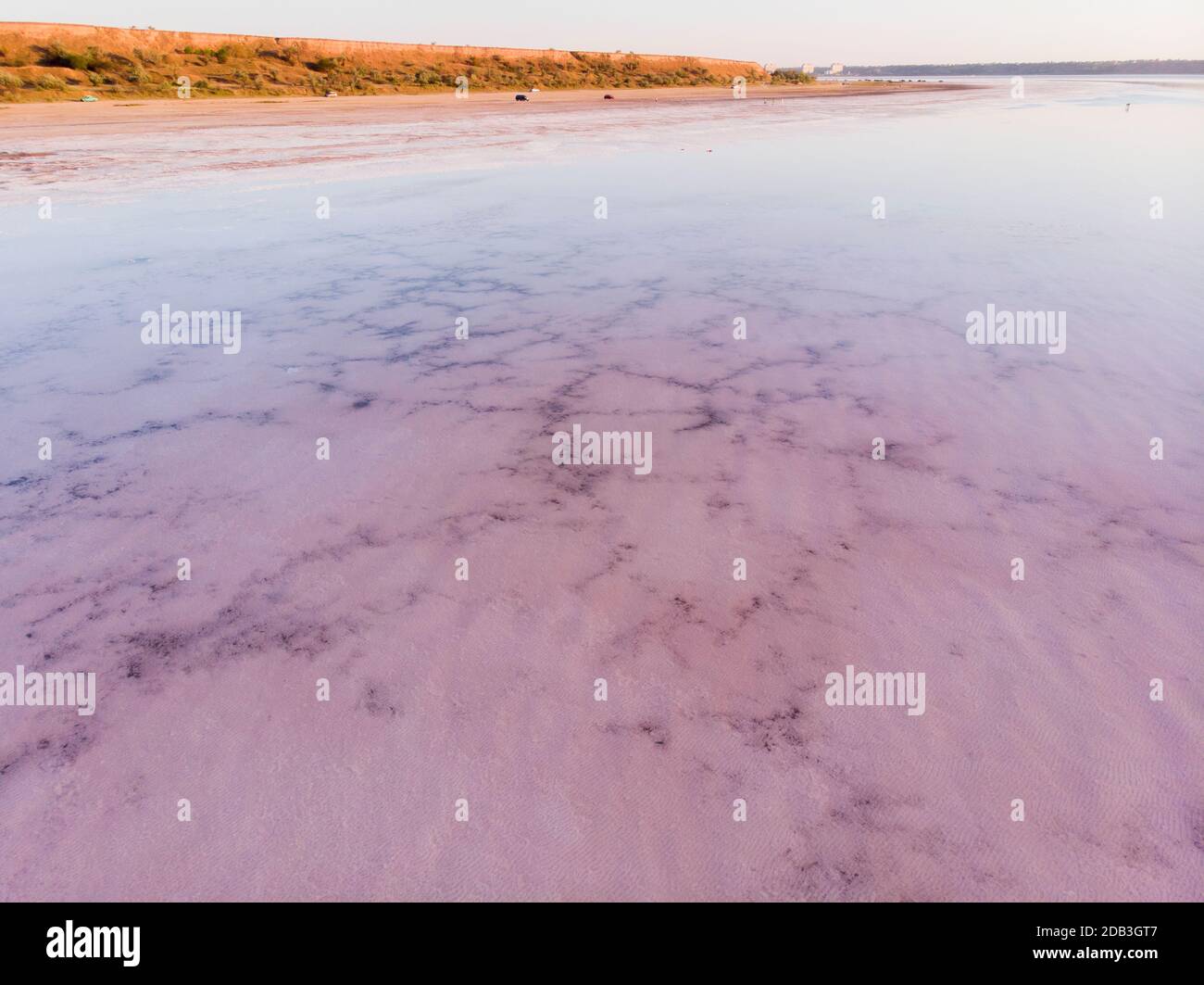 Erstaunliche Formen der Landoberfläche aus Wasser und Salz, Natur abstrakter Hintergrund, Luftbild. Rosa extrem salzig Kuyalnik Liman in Odessa, salzig Stockfoto