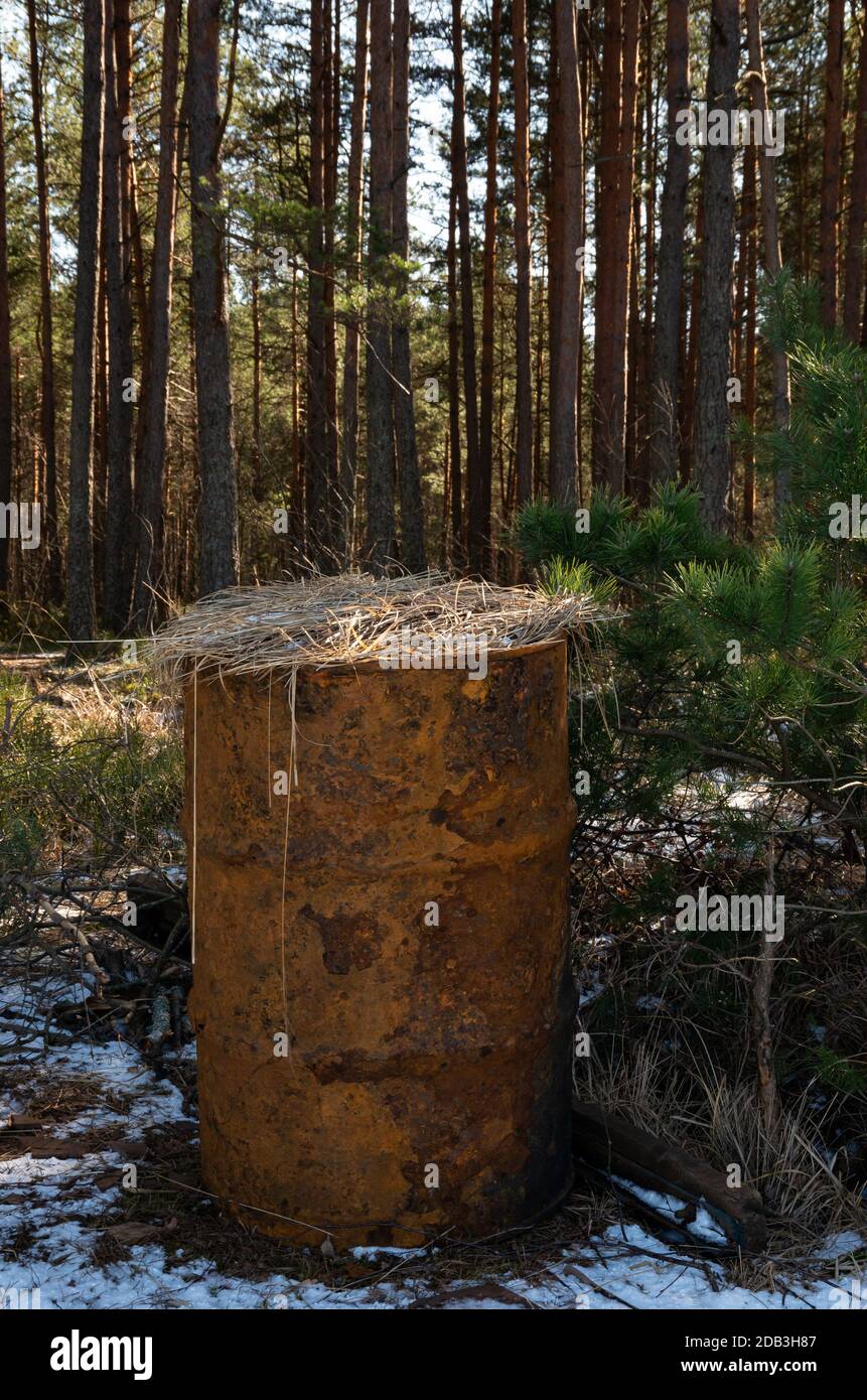 Altes rostiges Fass im Wald mit Fuhrmen, Schnee Stockfoto