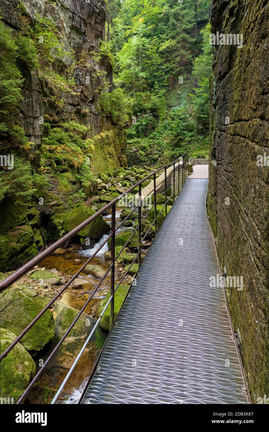 Metallene Fußgängerbrücke in der Schlucht des Flusses Kamienczyk im polnischen Riesengebirge Stockfoto
