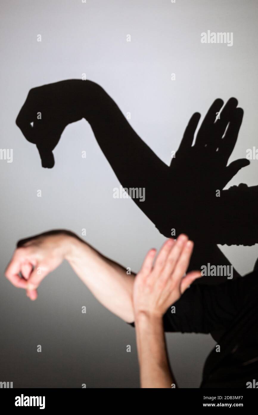 Schattenspiel projiziert auf eine weiße Leinwand. Erzeugt eine Form von Schwan oder Ente mit den Händen. Stockfoto