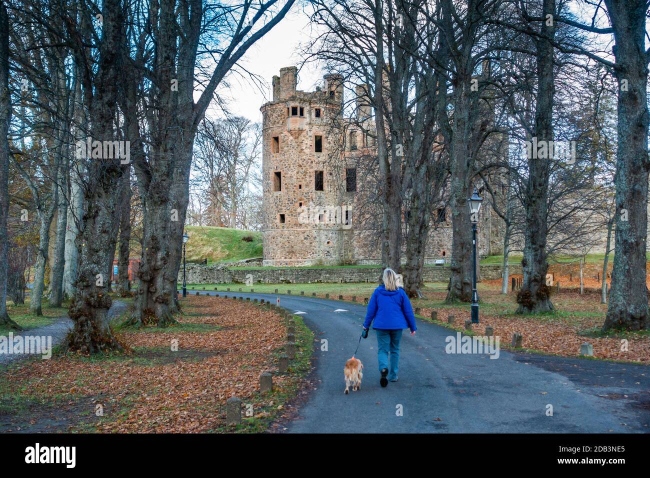 Ein Hundespaziergänger auf dem Weg nach Huntly Castle in der Stadt Huntly, Aberdeenshire, Schottland, Großbritannien Stockfoto