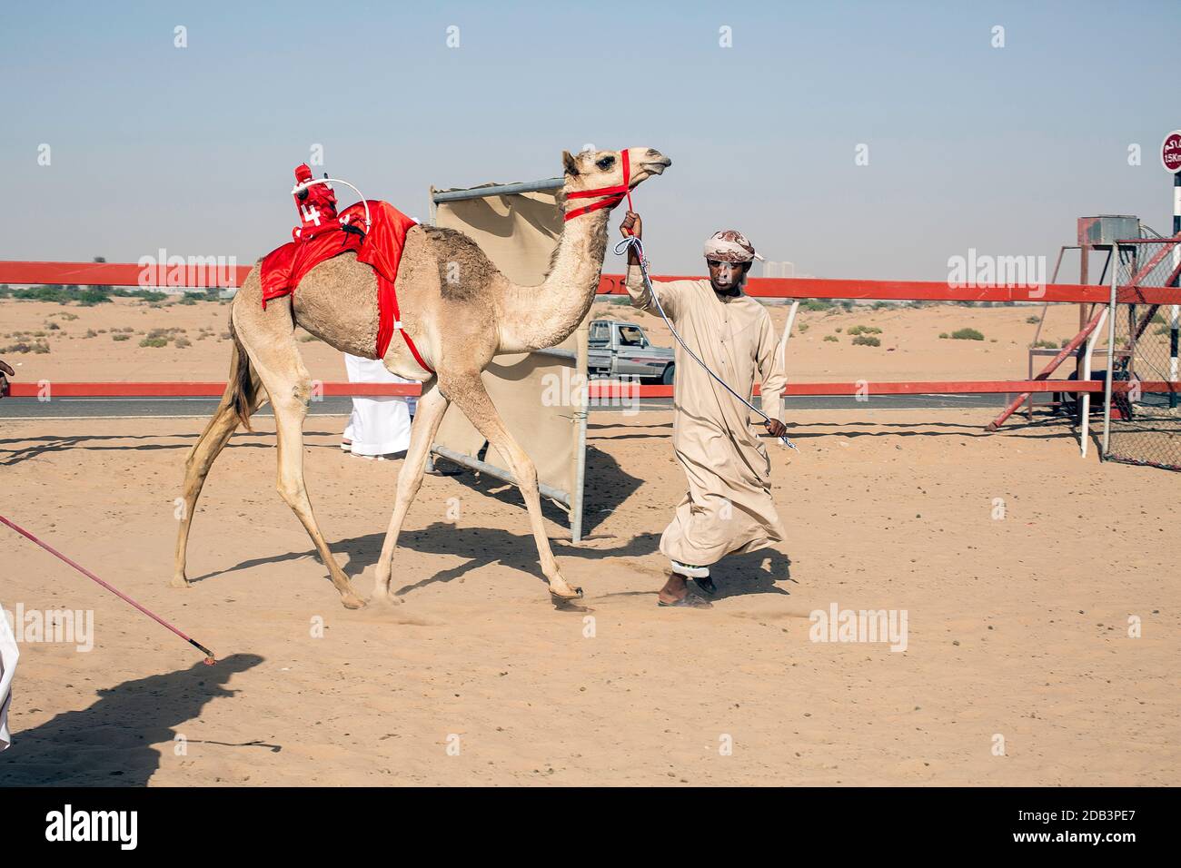 Vereinigte Arabische Emirate / Al Dhaid / Kameltrainer auf der Kamelrennbahn. Stockfoto