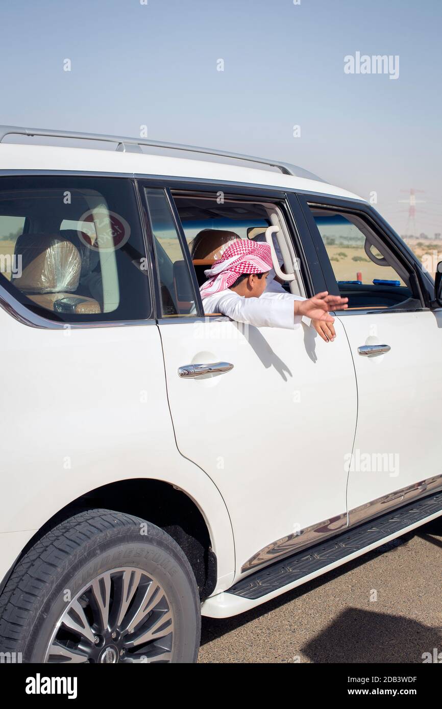 Vereinigte Arabische Emirate / Al Dhaid /Auto fährt mit den Kamelen entlang, während sich das Rennen entwickelt, sodass Besitzer die Geschwindigkeit der Peitsche des Roboters bestimmen können. Stockfoto