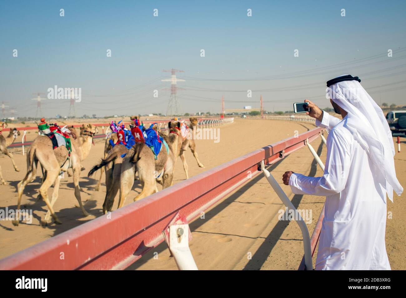Vereinigte Arabische Emirate / Al Dhaid / Arabische Männer fotografieren mit seinem Handy beim Camel Race in der zentralen Region des Emirats Sharjah. Stockfoto
