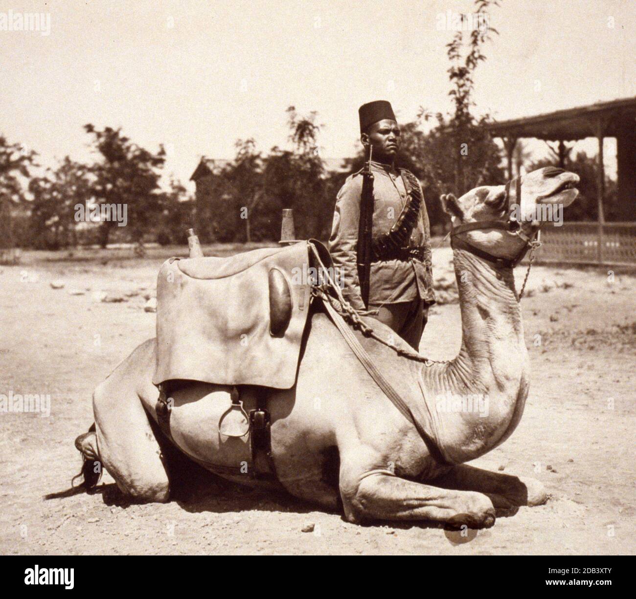 Anglo-ägyptischer Sudan - Kamelsoldat der einheimischen Kräfte der britischen Armee. Stockfoto