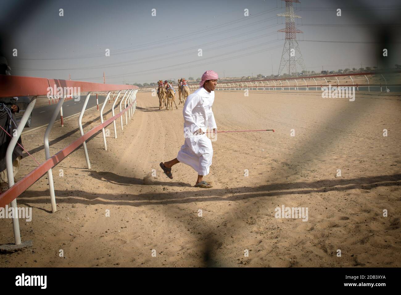 Vereinigte Arabische Emirate / Al Dhaid / Camel Race Track in der Zentralregion des Emirats Sharjah in den Vereinigten Arabischen Emiraten während der Rennen beginnen, Stockfoto