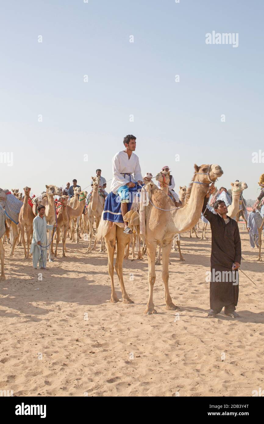 Vereinigte Arabische Emirate / Al Dhaid / Kameltrainer auf der Kamelrennbahn. Stockfoto