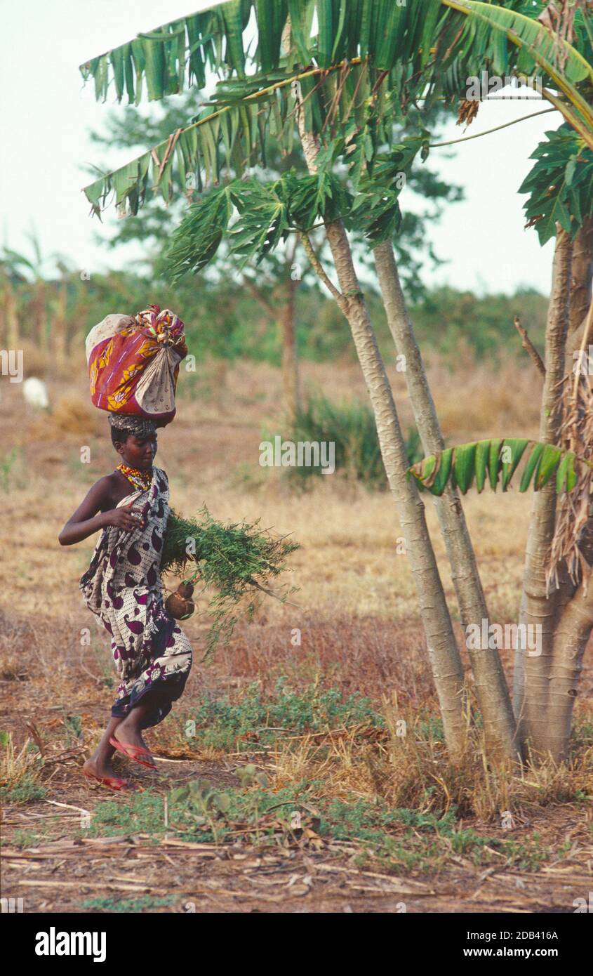 Junge Frau aus dem Stamm der Orma, die vom Markt in ihr Dorf zurückkehrt, mit einem Behälter mit Lebensmitteln, die auf ihrem Kopf ausgeglichen sind. Tana River County, Kenia Stockfoto