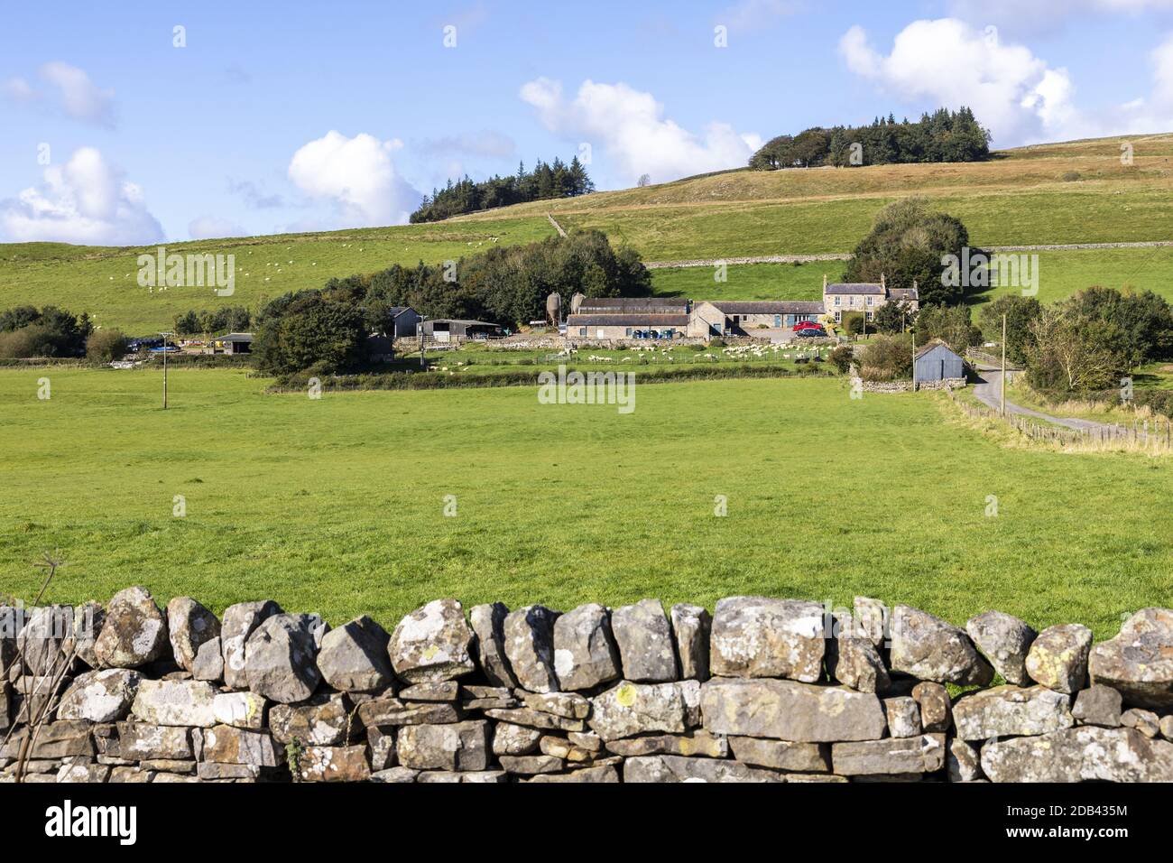 Die Upland Farm von Bradley auf den Pennines unterhalb der Hadrians Wall auf Hotbank Crags in der Nähe von Bardon Mill, Northumberland UK Stockfoto