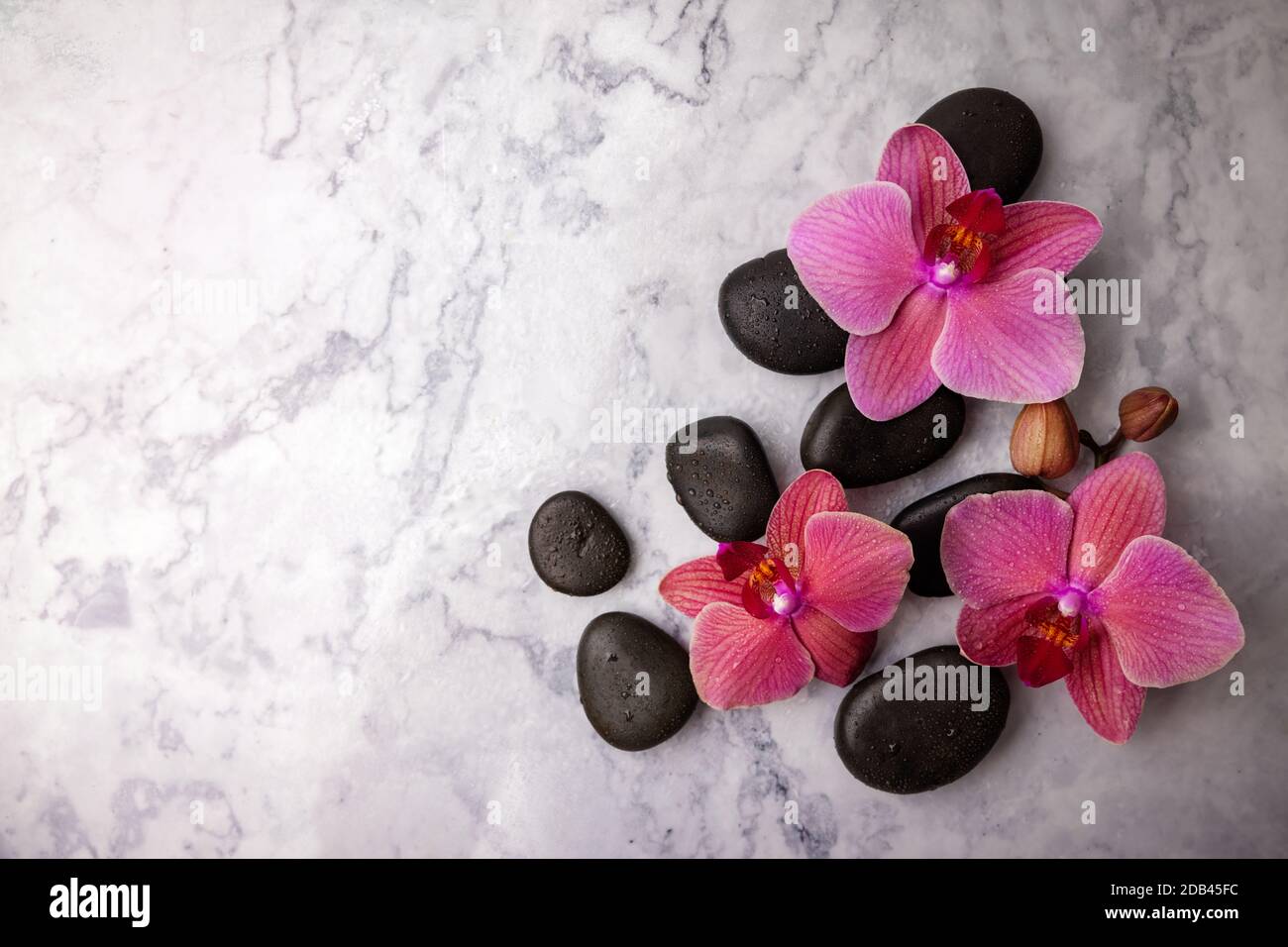 Spa Steine und rosa Orchideenblumen auf weißem Marmor Hintergrund. Draufsicht Kopierraum Stockfoto